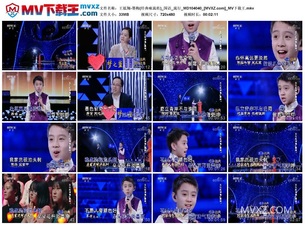 王泓翔-墨梅(经典咏流传)_国语_流行_MD104040